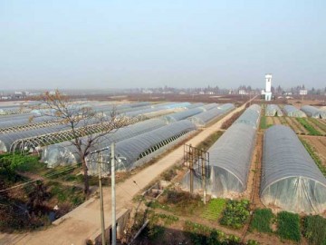 流滴小棚膜 流滴小棚膜